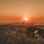 عناوين نشرة الخميس 5 شباط 2026: أبعاد الحبّ